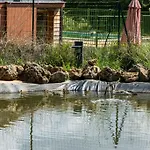 Prázdninový dům Domaine Des Bories *