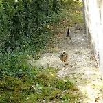 Domaine Des Bories Prázdninový dům *