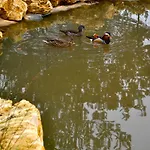 Domaine Des Bories