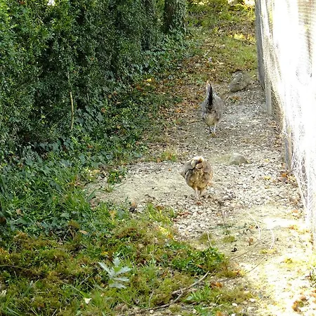 Domaine Des Bories Hébergement de vacances *