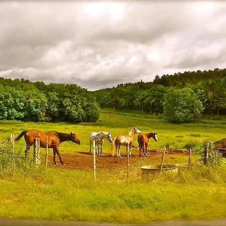 Domaine Des Bories * Sorges