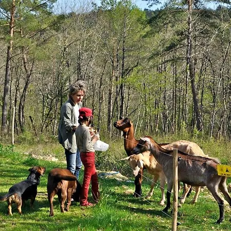 Domaine Des Bories Hébergement de vacances *