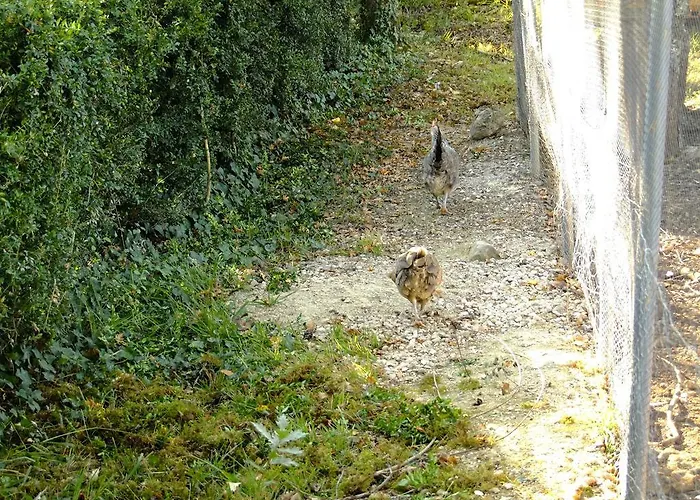 Domaine Des Bories Feriehus *